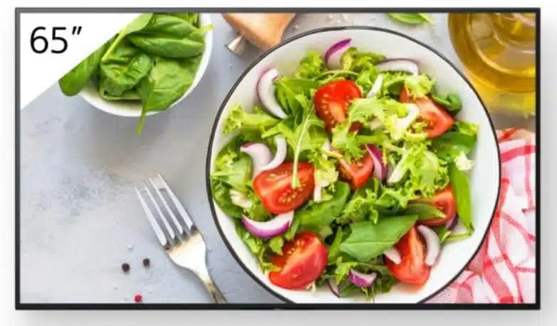 Sony 65" Pro BRAVIA FW-65BZ35L LCD 550nit