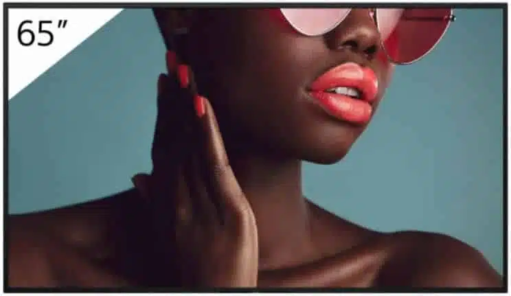 Sony 65" Pro BRAVIA FW-65BZ40L LCD 700nit Haze